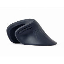 MOUSE USB OPTICAL WRL BLACK / ERGONOMIC MUSW-ERGO-03 GEMBIRD