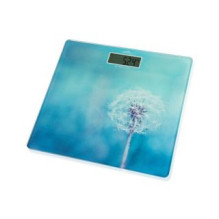 ETA Personal Scales , 178090040 Breeze , Maximum weight (capacity) 180 kg , Accuracy 100 g , Blue