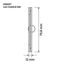 Activejet LED wall lamp AJE-CHARLIE NW