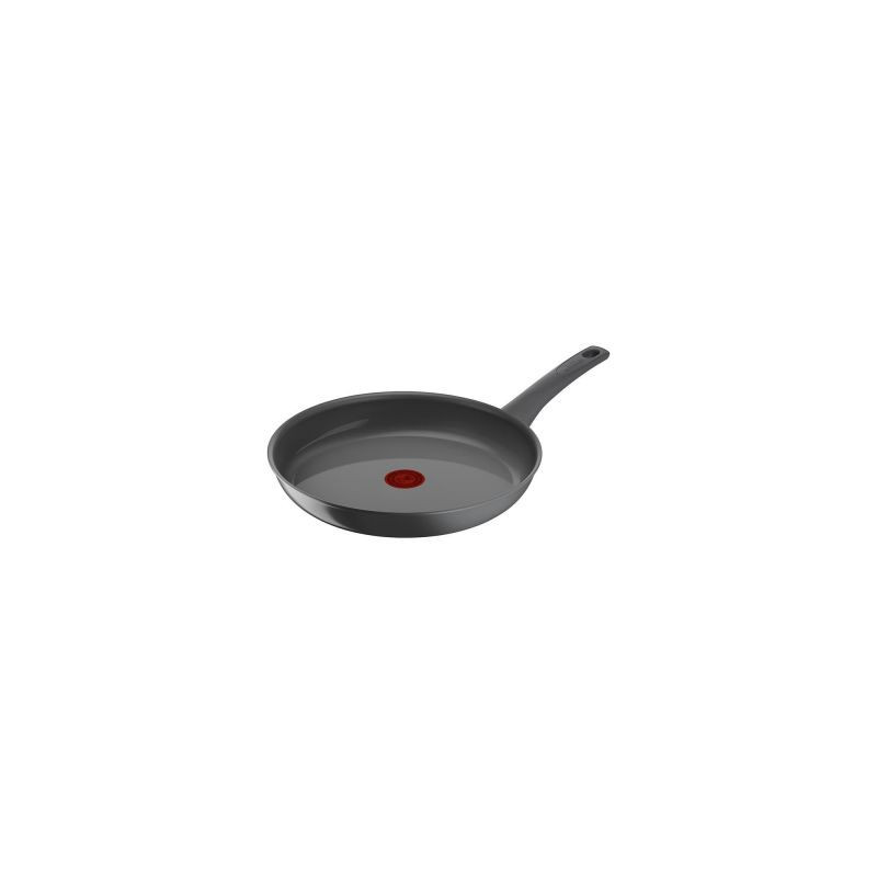 TEFAL C4260643 Renewal Pan, 28 cm, Suitable for induction, Grey