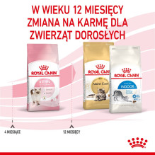 Royal Canin FHN Kitten - dry kitten food - 4kg