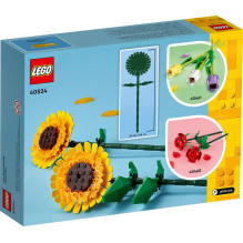 LEGO 40524 SAULĖGRAZOS