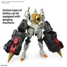 RG GAOGAIGARAS