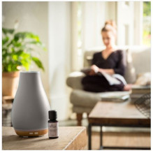 Ellia ARM-510GYA-WWX Blossom Ultrasonic Diffuser with Ambient Mood Lighting