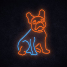 Manta SNL68MT Style Neon Lights Dog Prancūzų buldogas