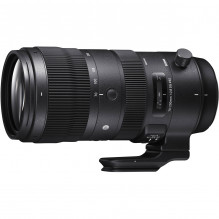 Sigma 70-200mm F2.8 DG DN OS | Sports | L-Mount