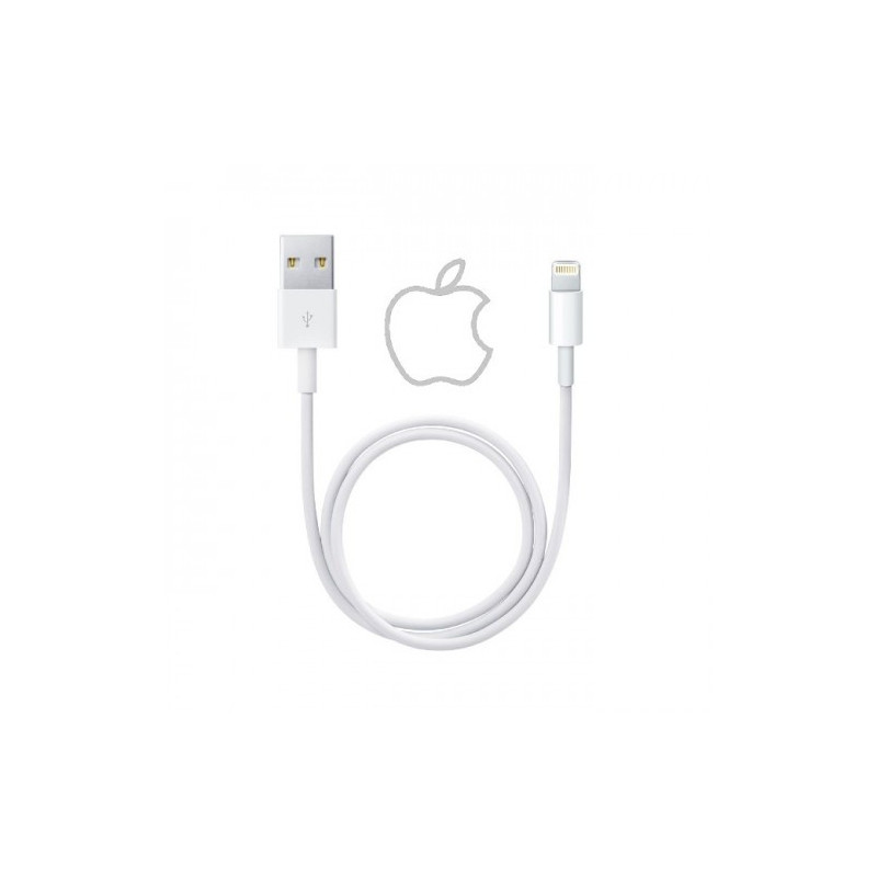 USB Kabelis Apple ME291ZM (A1511) baltas 50cm &quot;Lightning&quot; / 100% Genuine / 