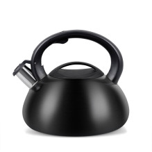 Kettle PROMIS TMC01BS AUGUSTO MATTE 3 liters INDUCTION, GAS