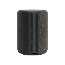 Audio Pro - Bluetooth G10 Dark Grey