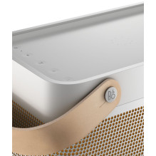 BANG &amp; OLUFSEN Beolit 20 Grey