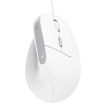 Trust Bayo II mouse Office Right-hand USB Type-A Optical 2400 DPI