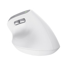 Trust Bayo II mouse Office Right-hand RF Wireless Optical 2400 DPI