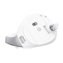 Trust Bayo II mouse Office Right-hand RF Wireless Optical 2400 DPI