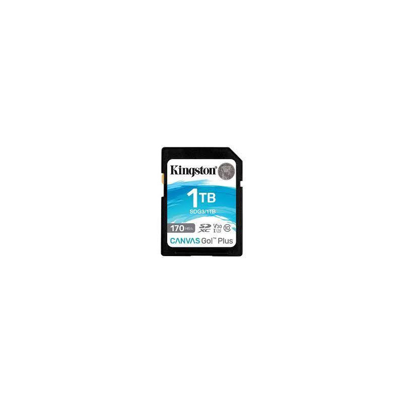 MEMORY SDXC 1TB UHS-I / SDG3 / 1TB KINGSTON