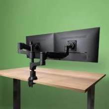 MONITOR ACC ARM CAPARO DUAL / RGOVLCA4TWSI R-GO TOOLS